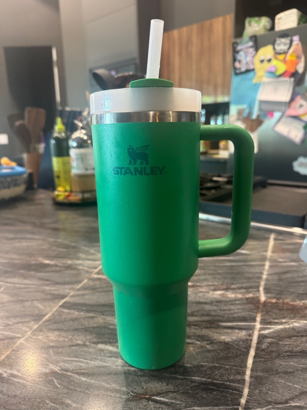 Stanley Green Insulated Tumbler with Handle and Straw